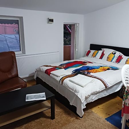 Sara 3 Dormitoare Nu Primesc Santieristi Si Petrecareti Villa Bucureşti Eksteriør bilde