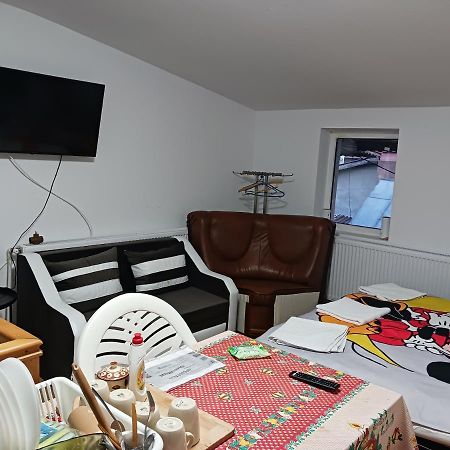 Sara 3 Dormitoare Nu Primesc Santieristi Si Petrecareti Villa Bucureşti Eksteriør bilde