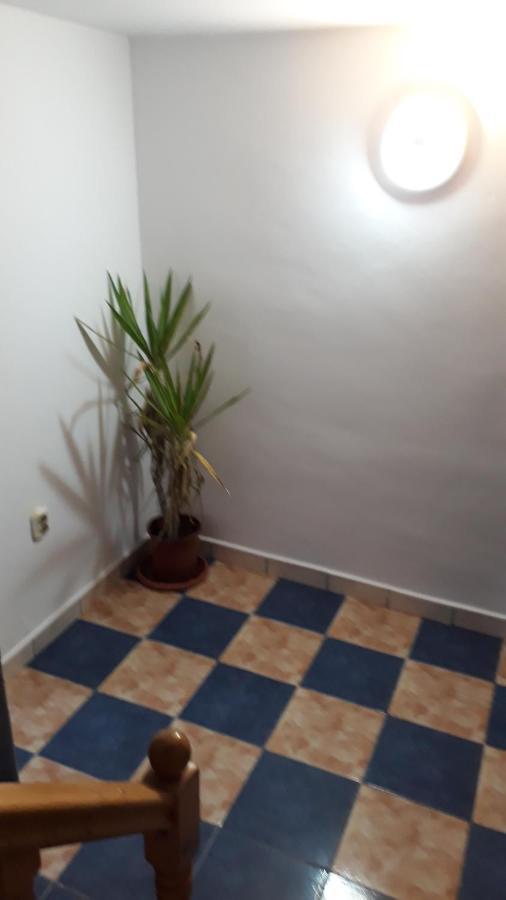 Sara 3 Dormitoare Nu Primesc Santieristi Si Petrecareti Villa Bucureşti Eksteriør bilde