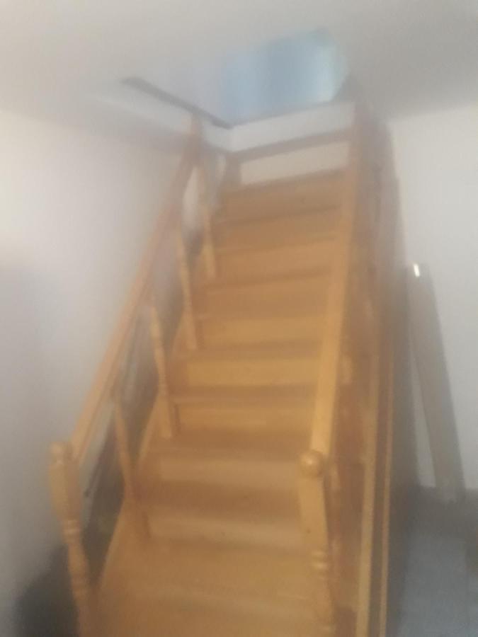 Sara 3 Dormitoare Nu Primesc Santieristi Si Petrecareti Villa Bucureşti Eksteriør bilde