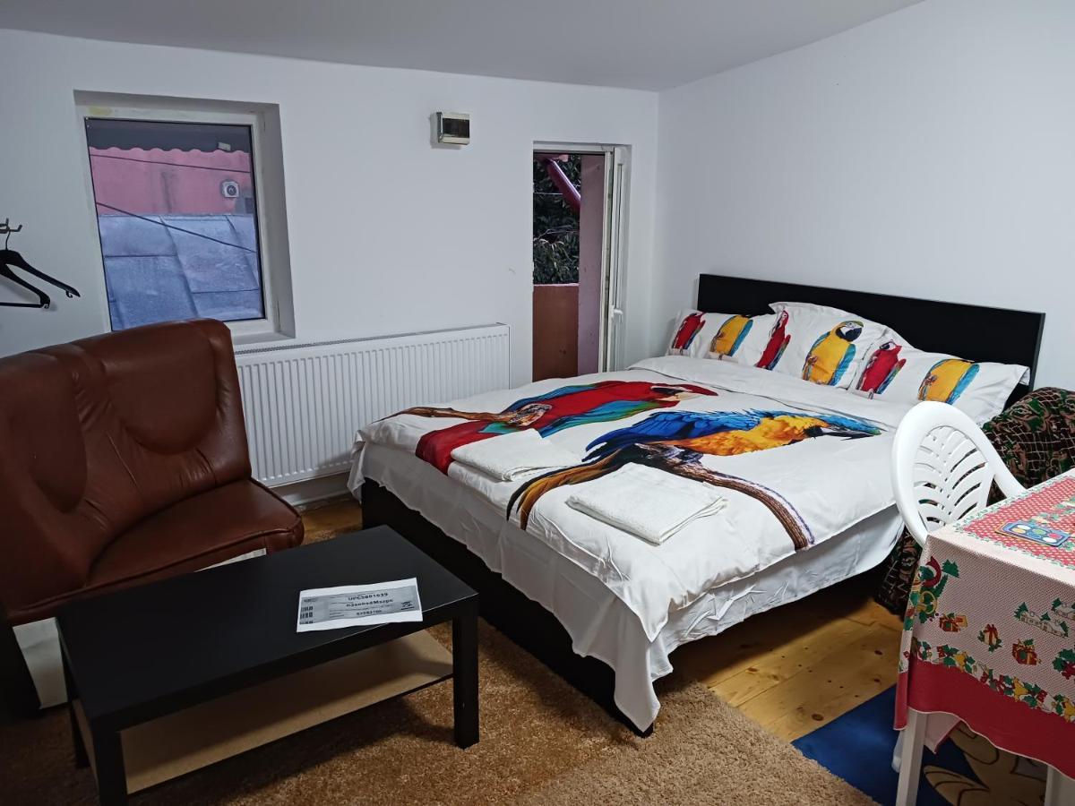 Sara 3 Dormitoare Nu Primesc Santieristi Si Petrecareti Villa Bucureşti Eksteriør bilde