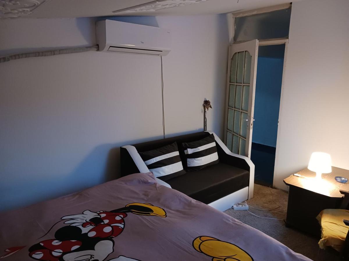 Sara 3 Dormitoare Nu Primesc Santieristi Si Petrecareti Villa Bucureşti Eksteriør bilde