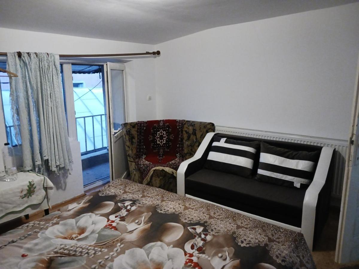 Sara 3 Dormitoare Nu Primesc Santieristi Si Petrecareti Villa Bucureşti Eksteriør bilde
